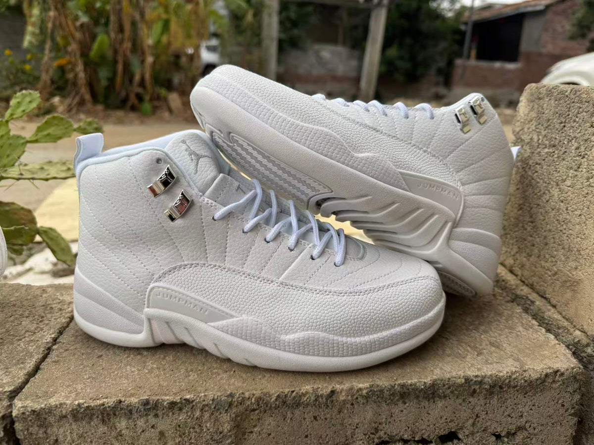 Air Jordan 12 Retro 'Summit White Metallic Silver'
