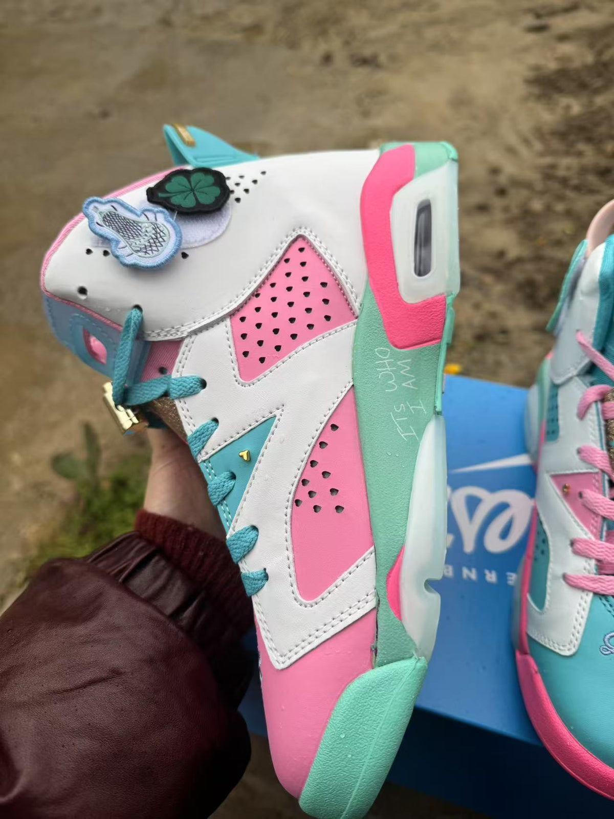 Air Jordan 6 Retro 'Blue Pink'