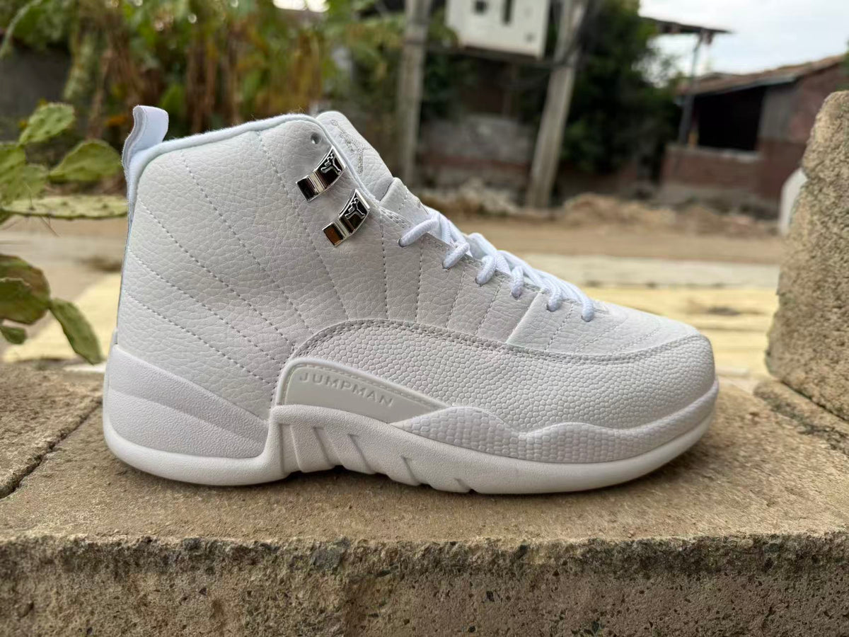 Air Jordan 12 Retro 'Summit White Metallic Silver'