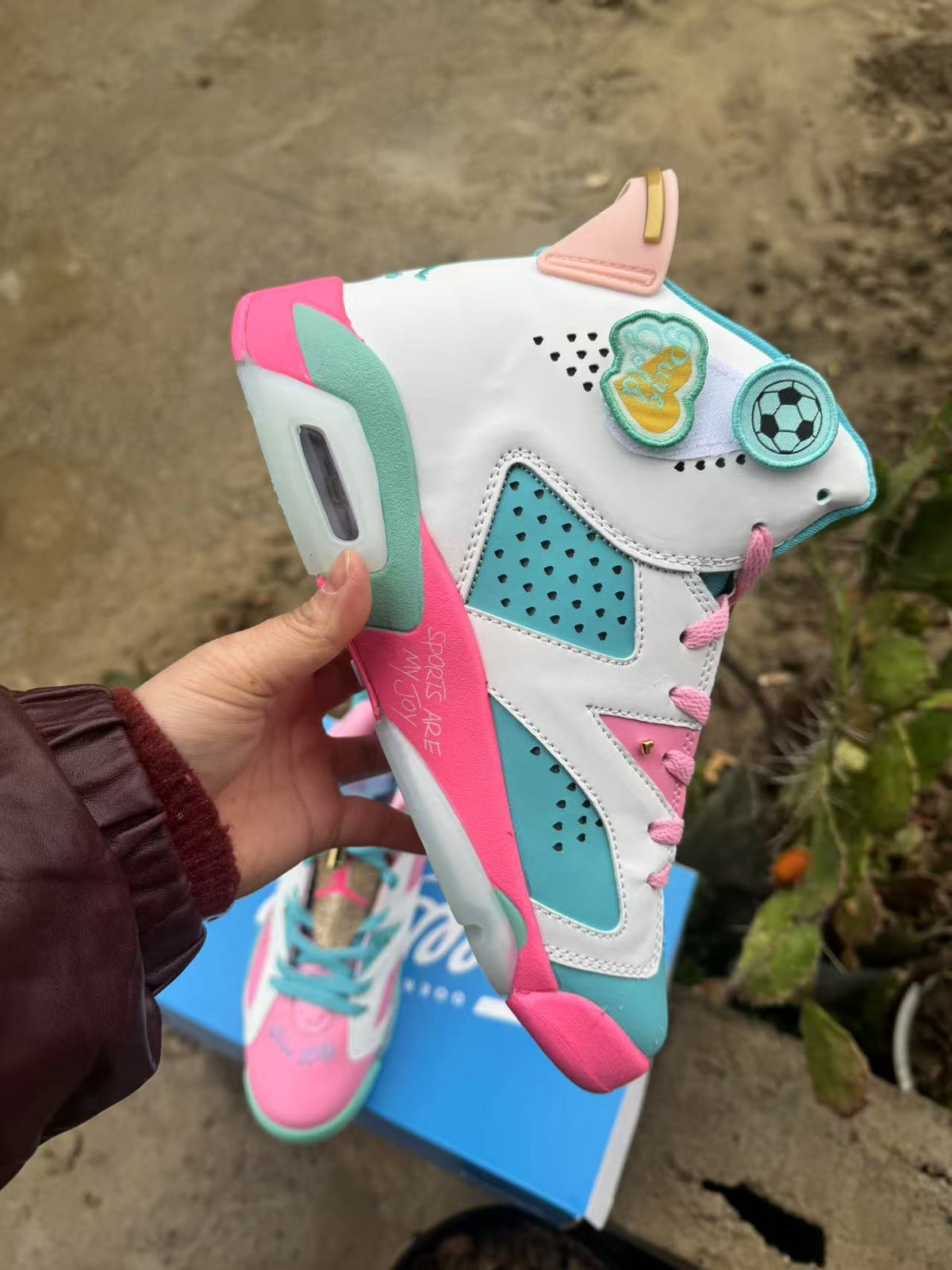 Air Jordan 6 Retro 'Blue Pink'