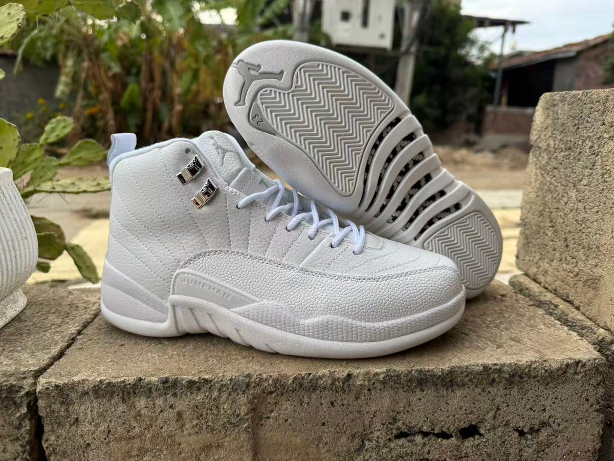 Air Jordan 12 Retro 'Summit White Metallic Silver'